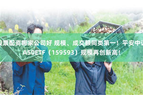 股票配资哪家公司好 规模、成交额同类第一！平安中证A50ETF（159593）规模再创新高！