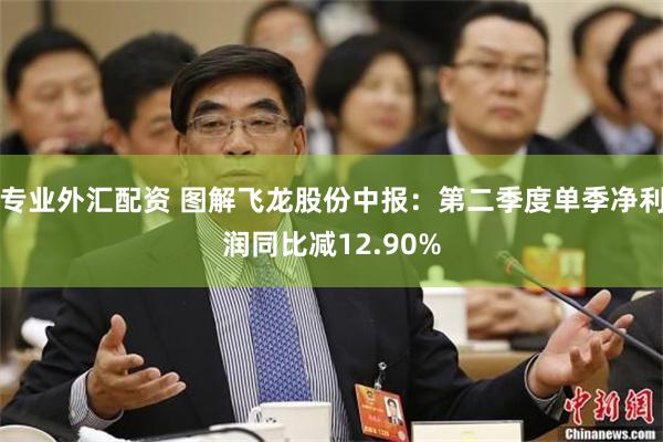 专业外汇配资 图解飞龙股份中报：第二季度单季净利润同比减12.90%