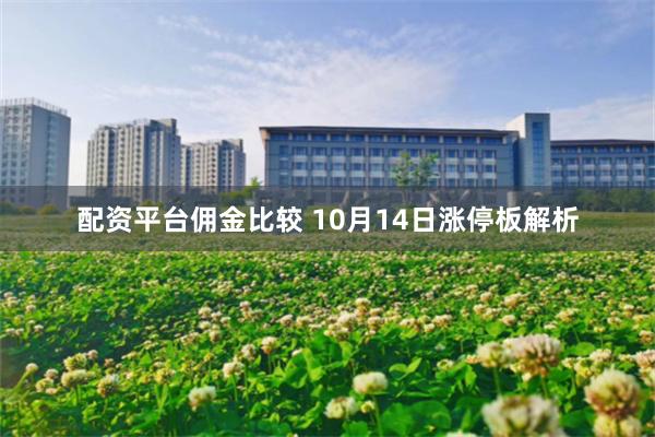 配资平台佣金比较 10月14日涨停板解析