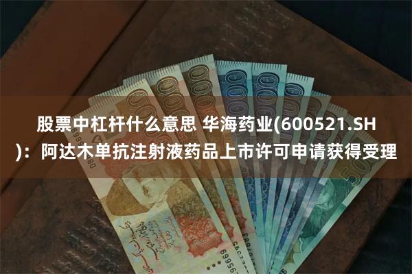 股票中杠杆什么意思 华海药业(600521.SH)：阿达木单抗注射液药品上市许可申请获得受理