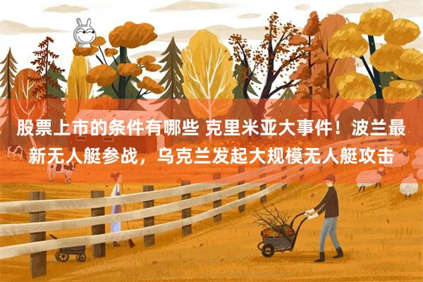 股票上市的条件有哪些 克里米亚大事件！波兰最新无人艇参战，乌克兰发起大规模无人艇攻击
