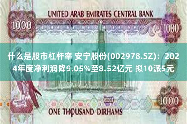什么是股市杠杆率 安宁股份(002978.SZ)：2024年度净利润降9.05%至8.52亿元 拟10派5元