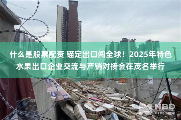 什么是股票配资 锚定出口闯全球！2025年特色水果出口企业交流与产销对接会在茂名举行