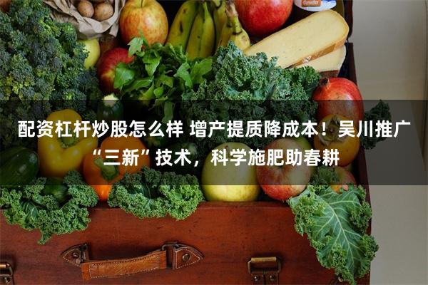 配资杠杆炒股怎么样 增产提质降成本！吴川推广“三新”技术，科学施肥助春耕