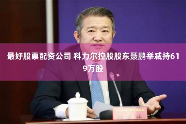 最好股票配资公司 科力尔控股股东聂鹏举减持619万股