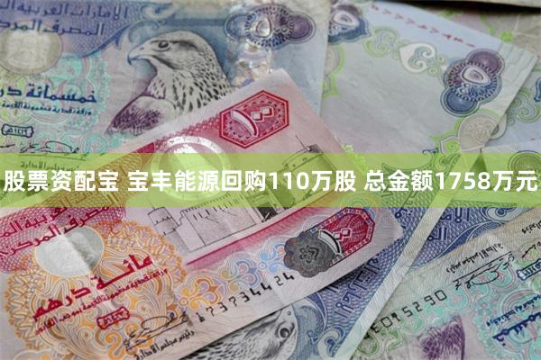 股票资配宝 宝丰能源回购110万股 总金额1758万元