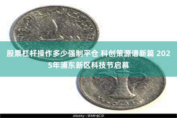 股票杠杆操作多少强制平仓 科创策源谱新篇 2025年浦东新区科技节启幕