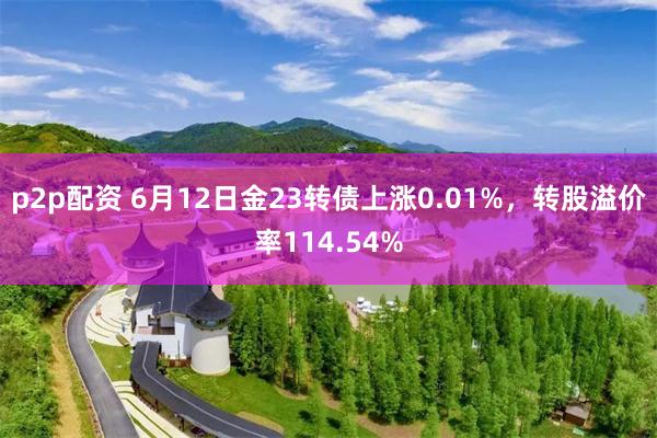p2p配资 6月12日金23转债上涨0.01%，转股溢价率114.54%