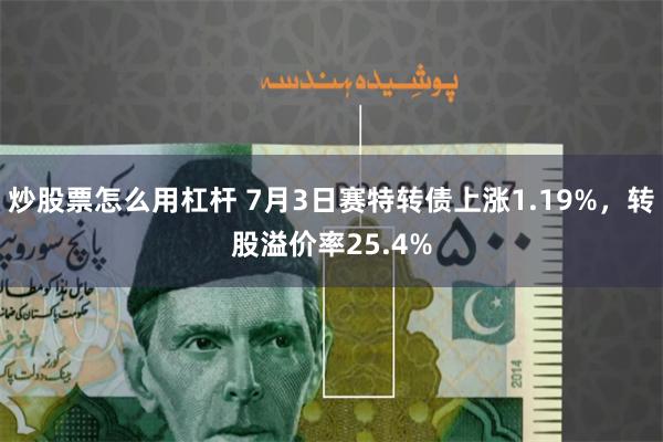 炒股票怎么用杠杆 7月3日赛特转债上涨1.19%，转股溢价率25.4%