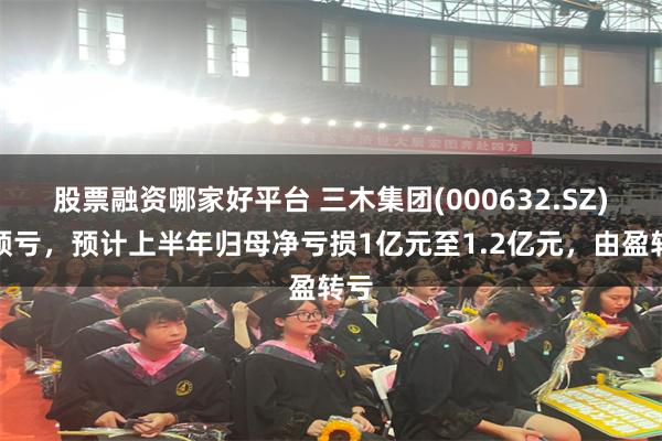 股票融资哪家好平台 三木集团(000632.SZ)发预亏，预计上半年归母净亏损1亿元至1.2亿元，由盈转亏