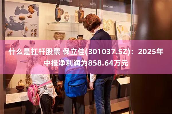 什么是扛杆股票 保立佳(301037.SZ)：2025年中报净利润为858.64万元