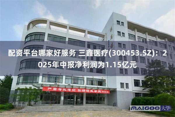 配资平台哪家好服务 三鑫医疗(300453.SZ)：2025年中报净利润为1.15亿元