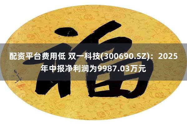配资平台费用低 双一科技(300690.SZ)：2025年中报净利润为9987.03万元