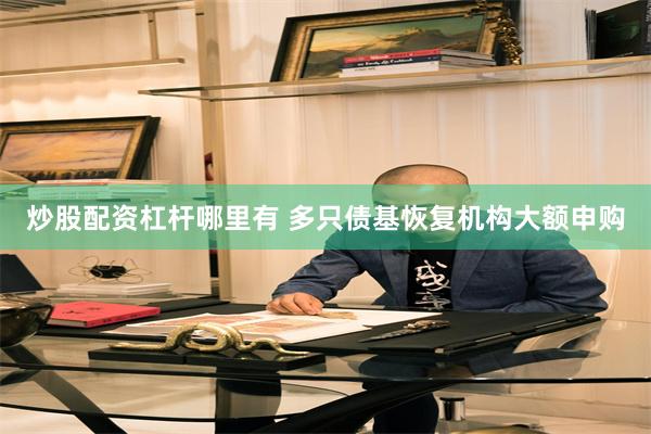 炒股配资杠杆哪里有 多只债基恢复机构大额申购