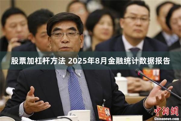 股票加杠杆方法 2025年8月金融统计数据报告