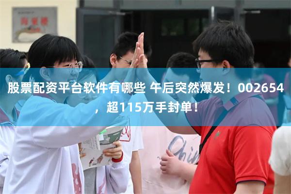 股票配资平台软件有哪些 午后突然爆发！002654，超115万手封单！