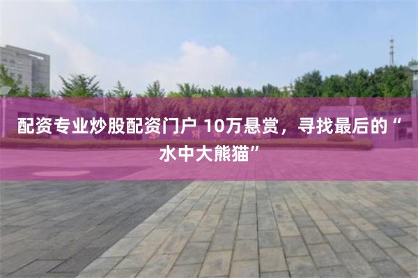 配资专业炒股配资门户 10万悬赏，寻找最后的“水中大熊猫”