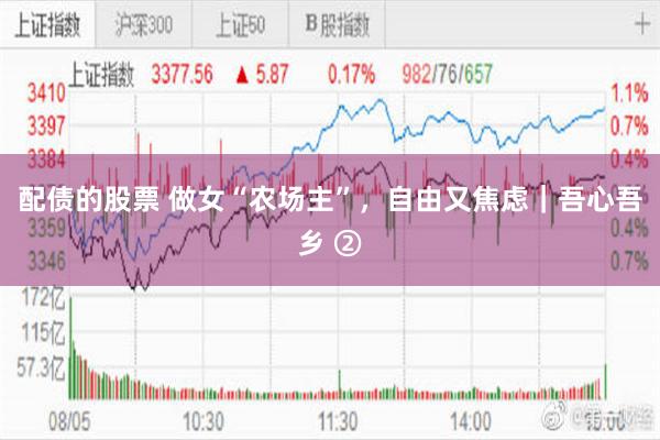 配债的股票 做女“农场主”，自由又焦虑｜吾心吾乡 ②