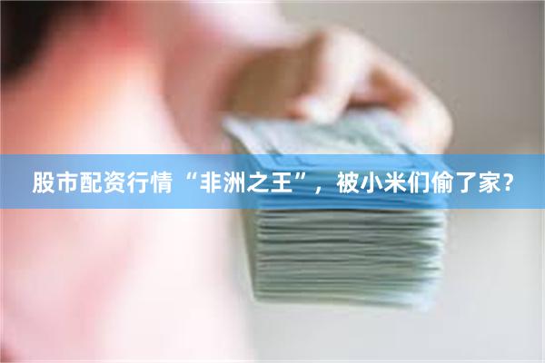 股市配资行情 “非洲之王”，被小米们偷了家？