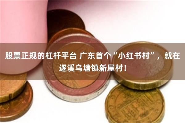 股票正规的杠杆平台 广东首个“小红书村”，就在遂溪乌塘镇新屋村！