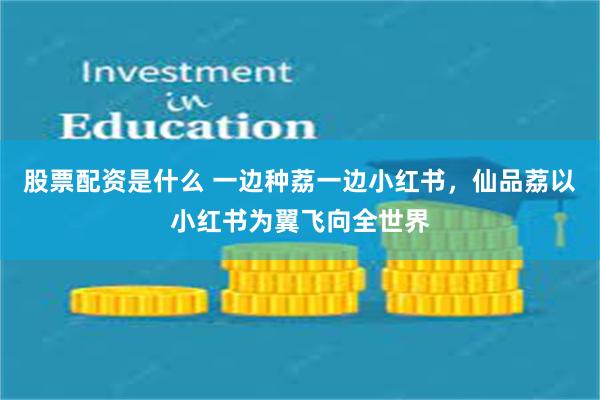 股票配资是什么 一边种荔一边小红书，仙品荔以小红书为翼飞向全世界