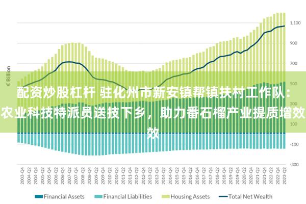 配资炒股杠杆 驻化州市新安镇帮镇扶村工作队：农业科技特派员送技下乡，助力番石榴产业提质增效