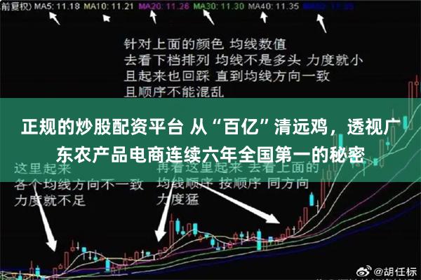 正规的炒股配资平台 从“百亿”清远鸡，透视广东农产品电商连续六年全国第一的秘密