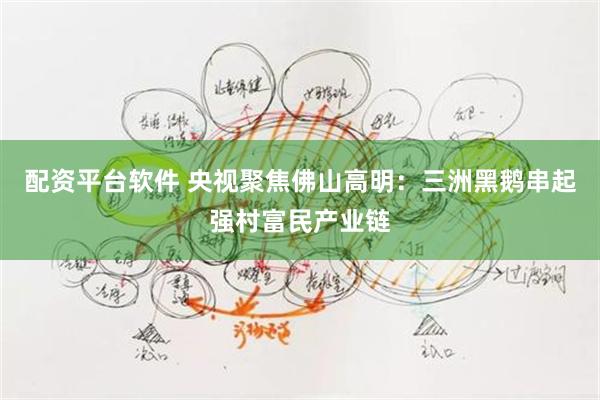配资平台软件 央视聚焦佛山高明：三洲黑鹅串起强村富民产业链