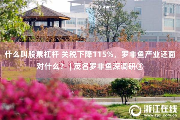 什么叫股票杠杆 关税下降115%，罗非鱼产业还面对什么？ | 茂名罗非鱼深调研③