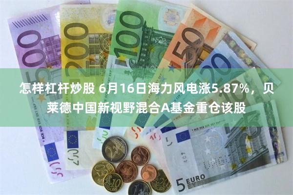 怎样杠杆炒股 6月16日海力风电涨5.87%,贝莱德中国新视野混合A基金重仓该股