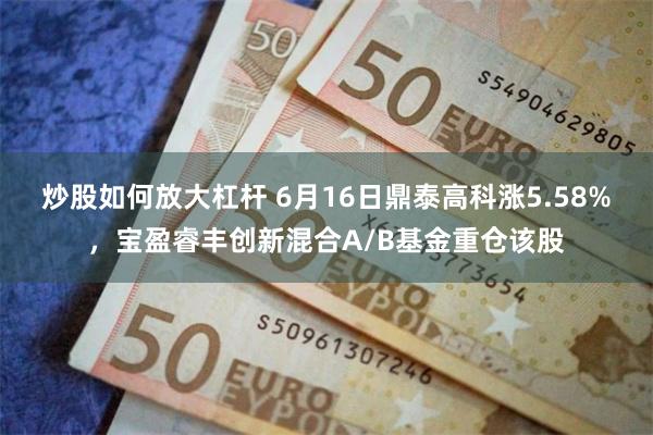 炒股如何放大杠杆 6月16日鼎泰高科涨5.58%，宝盈睿丰创新混合A/B基金重仓该股