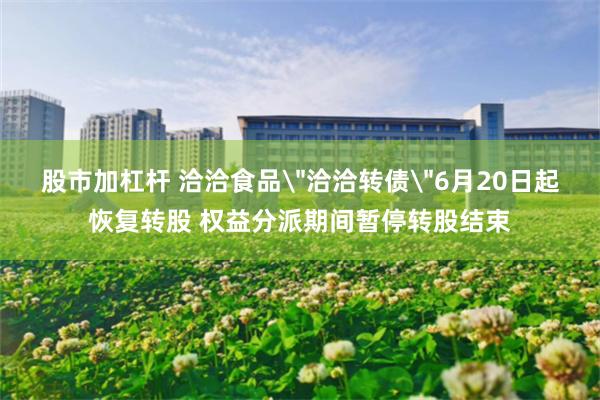 股市加杠杆 洽洽食品