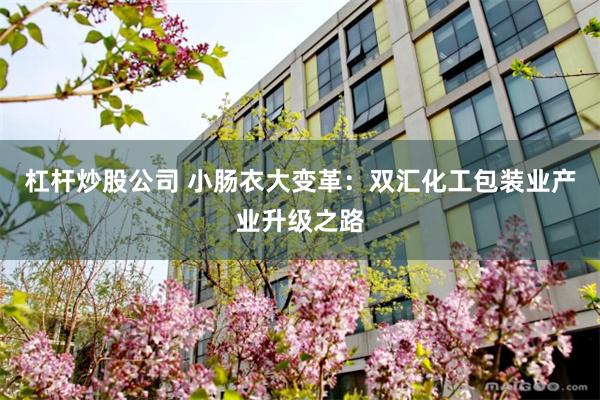 杠杆炒股公司 小肠衣大变革：双汇化工包装业产业升级之路