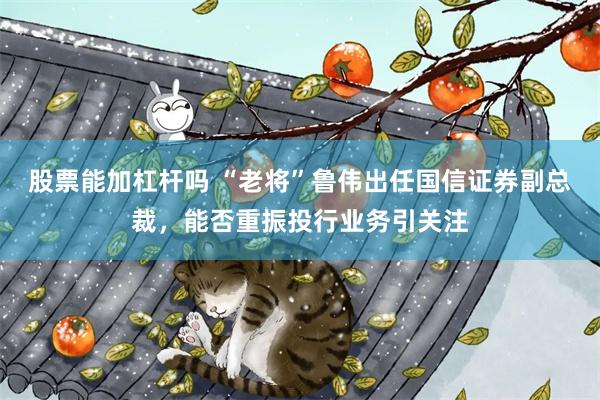 股票能加杠杆吗 “老将”鲁伟出任国信证券副总裁，能否重振投行业务引关注