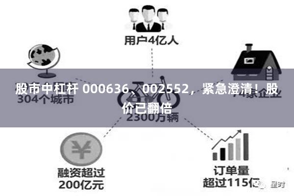 股市中杠杆 000636、002552，紧急澄清！股价已翻倍