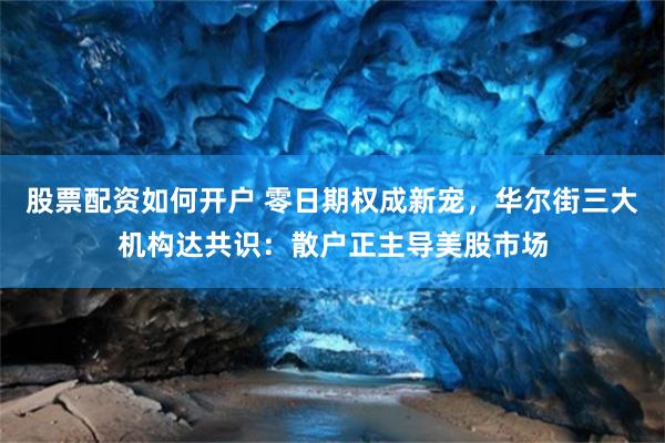 股票配资如何开户 零日期权成新宠，华尔街三大机构达共识：散户正主导美股市场