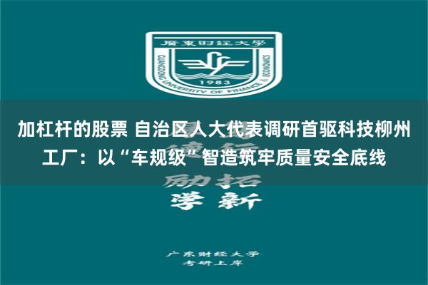 加杠杆的股票 自治区人大代表调研首驱科技柳州工厂：以“车规级”智造筑牢质量安全底线