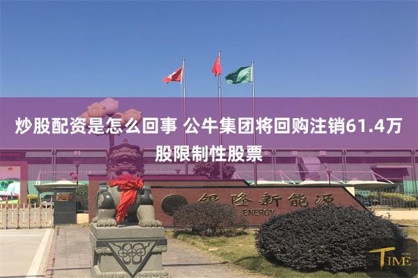 炒股配资是怎么回事 公牛集团将回购注销61.4万股限制性股票