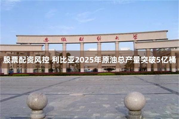 股票配资风控 利比亚2025年原油总产量突破5亿桶