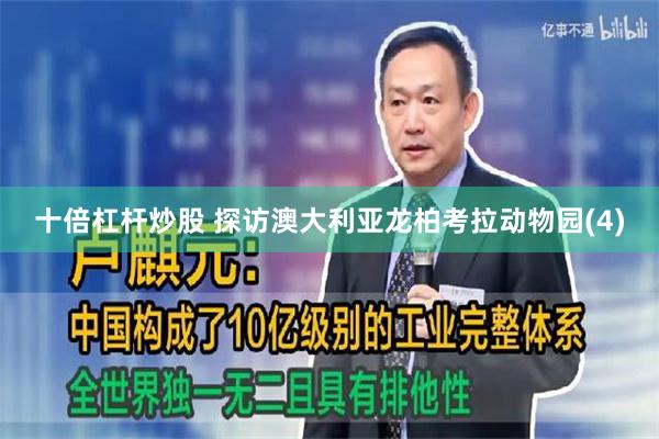 十倍杠杆炒股 探访澳大利亚龙柏考拉动物园(4)