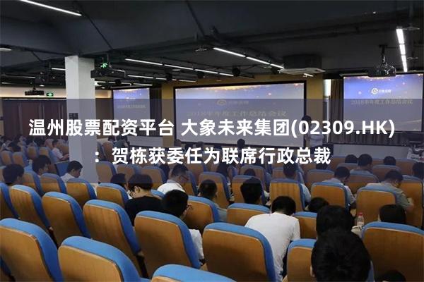温州股票配资平台 大象未来集团(02309.HK)：贺栋获委任为联席行政总裁