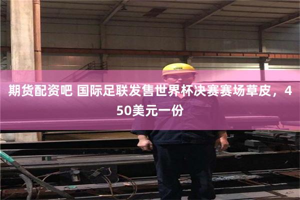 期货配资吧 国际足联发售世界杯决赛赛场草皮,450美元一份