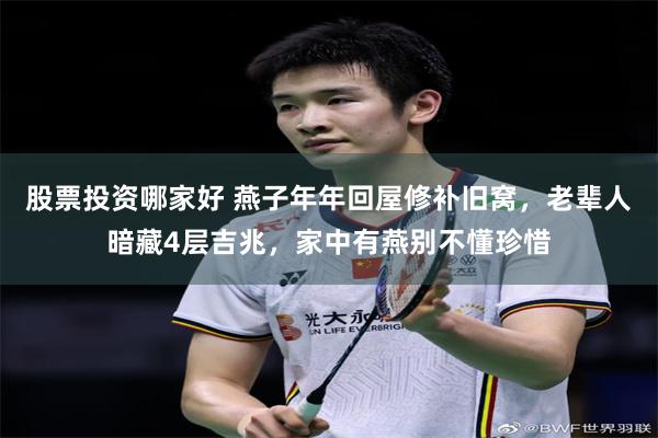 股票投资哪家好 燕子年年回屋修补旧窝,老辈人暗藏4层吉兆,家中有燕别不懂珍惜
