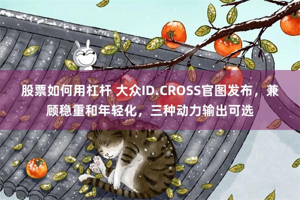 股票如何用杠杆 大众ID.CROSS官图发布，兼顾稳重和年轻化，三种动力输出可选