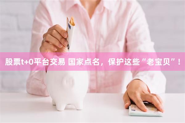 股票t+0平台交易 国家点名，保护这些“老宝贝”！
