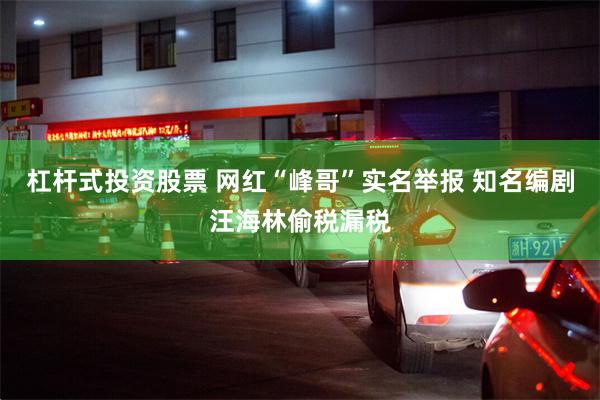杠杆式投资股票 网红“峰哥”实名举报 知名编剧汪海林偷税漏税