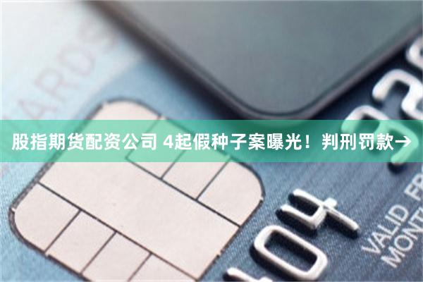 股指期货配资公司 4起假种子案曝光！判刑罚款→