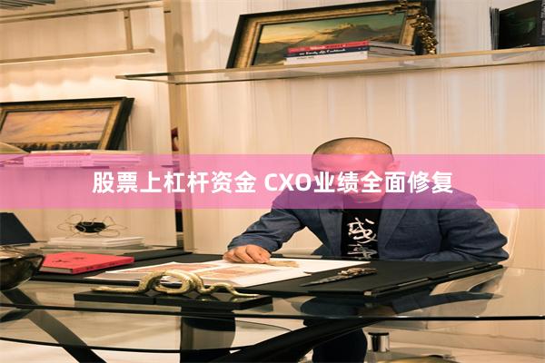 股票上杠杆资金 CXO业绩全面修复