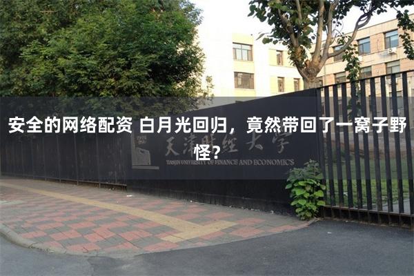 安全的网络配资 白月光回归，竟然带回了一窝子野怪？