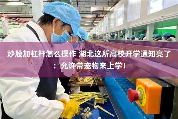 炒股加杠杆怎么操作 湖北这所高校开学通知亮了：允许带宠物来上学！